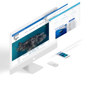 Ningaloo Reef Dive - Online Booking + E-Commerce Website Design by Natalie Creative