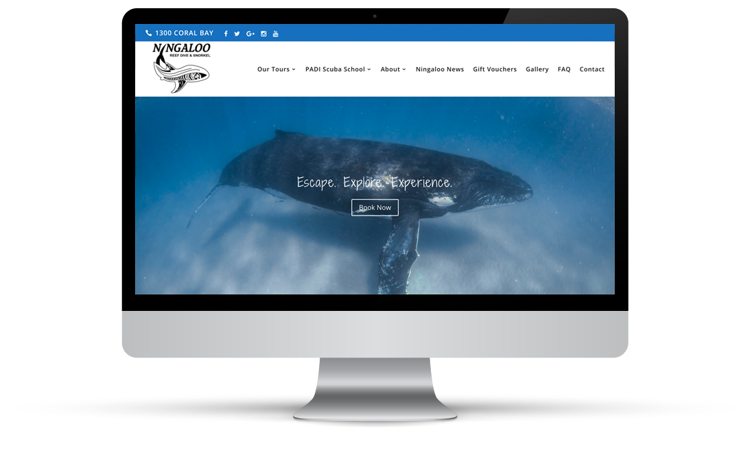Ningaloo Reef Dive & Snorkel – Web Design, E-Commerce + Marketing